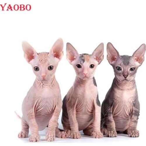 Full Drill Square Round 5D DIY Diamond Painting sphynx cats animal Diamond Embroidery Cross Stitch Picture Of Rhinestone Decor