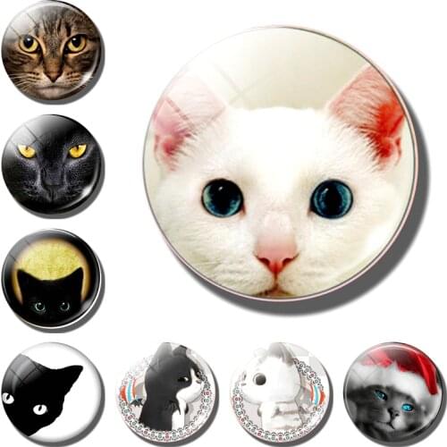 Cute cat decorative refrigerator magnets lovely animal Lucky pet Couple cat 30MM fridge magnet cat message board Home Decoration