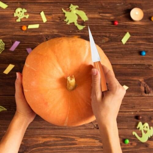 12pcs Halloween Pumpkin Carving Tool Set Carved Cutting Tool Kit Halloween Tools Pumpkin Hand Tool Set