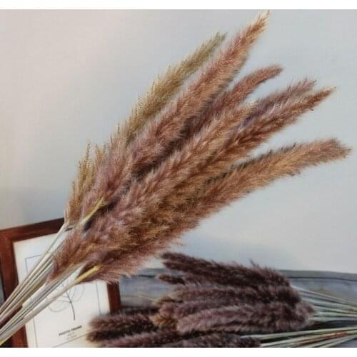 15Pcs/Lot Real Plants Dried Small Pampas Grass Flowers Easter Home Decor Mariage Decoratie Wedding Decoration Fleurs Sechees