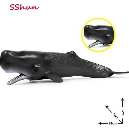 24*8*5CM Children Cognitive Simulation Solid Sperm Whale Marine Life Animal Toy Plastic Static Model