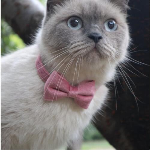 Macroupta Collars For Cats