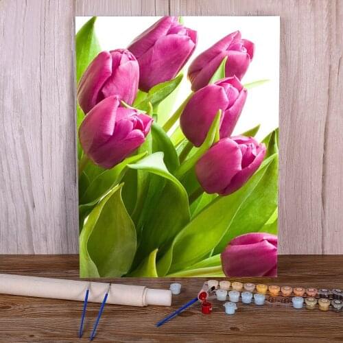 Tulips Flower Paint By Numbers Complete Kit Oil Paints 50*70 Painting On Canvas Handmade For Handiwork