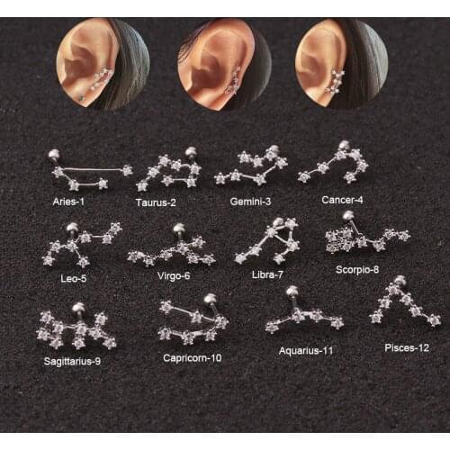 New Stainless Steel Twelve Constellation Ear Piercing Jewelry Cz Cartilage Helix Lobe Screw Back Stud Earring