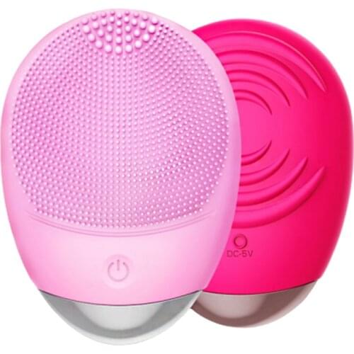 Water Ice Levin Electric Face Brushes