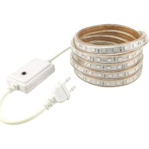 RGB LED Strip Light 5050 60 LED/m Waterproof IP67 Stripe 220 V 240 V Lights Ruban 1m 2m 3m 4m 5m 6m 7m 8m 9m 10m 220V EU Plug
