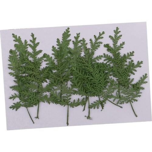 Ожерелья Baoblaze China At AliExpress