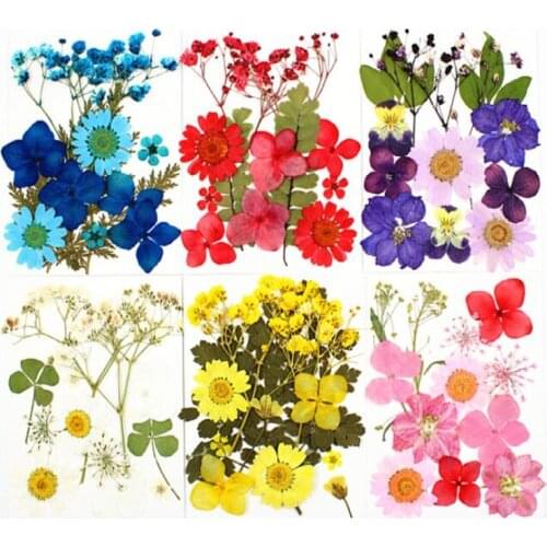 12pcs/lot small Real Dried Flower Dry Plants For Candle Epoxy Resin Pendant Necklace Jewelry Making Craft DIY Accessori