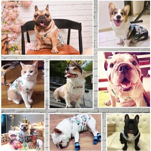 Puppy vest dog cat summer pet puppy costume