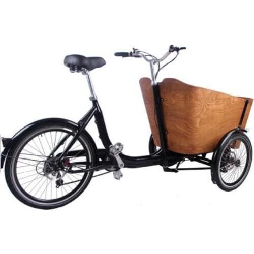 New Style Riding Bike Children Adult 3 Wheel Electric Bicycle With Child Seat Shopping Tricycle Vegetable Cargo Bike