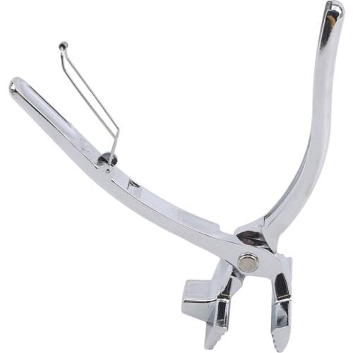 Stainless Steel Stretchy Canvas Pliers Wide Mouth Pliers Oil Painting Clip Tension Pliers