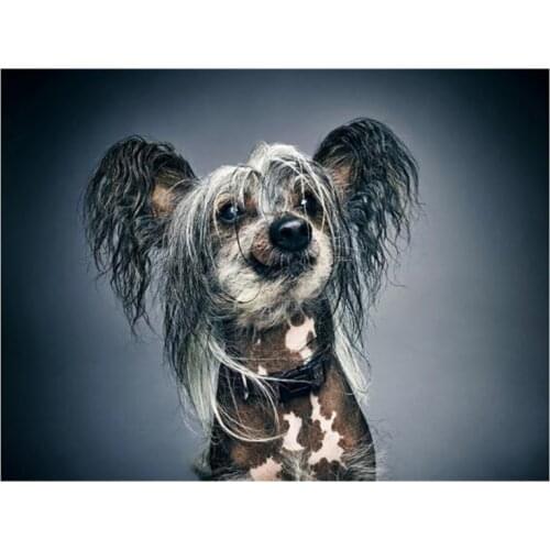 Full 5D Diy Round Dog 3D Diamond Painting Mosaic Cross Stitch Rhinestone Picture Embroidery Living Room Decoration FC804