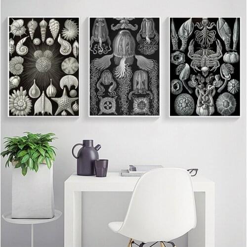 Marine Creatures Vintage Poster Jellyfish Corals Green Algae Sea Anemones Squirts Starfish Canvas Print Wall Art Canvas Painting