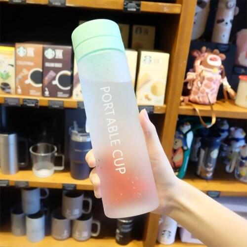 600ml/800ml Protable Water Bottle Transparent Matte Double Cover Water Cup With Tea Infuser Fruit Juice Leak-proof Water Bottle