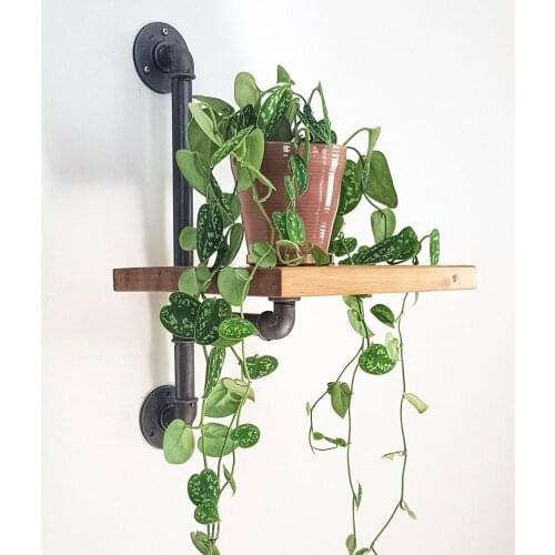 Industrial Water Pipe Plant Rack Single Shelf