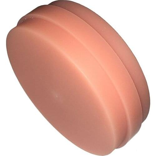 5pcs OD98mm Dental PMMA disc for Wieland System Pink Color CAD CAM PMMA blocks