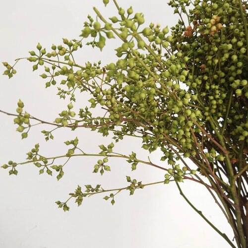 8-10 stems Eucalyptus Millet Berries Dried Flowers Bouquet Branches Real Flowers Ins Nordic Living Room Home Decoration