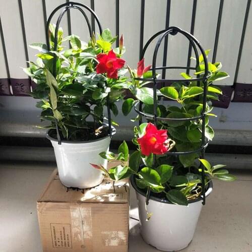 8Pcs Climbing Vine Rack Plant Potted Support Frame Gardening Tools Flower Vegetables Plant Trellis Bracket Garden Supplies