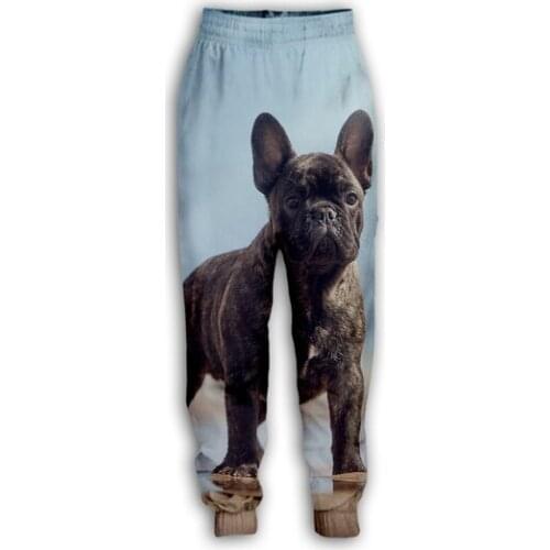 New French Bulldog 3D Print Causal Clothing Fashion Men Women Tracksuits Crewneck Hip Hop Pants Plus Size S-7XL jogging pants