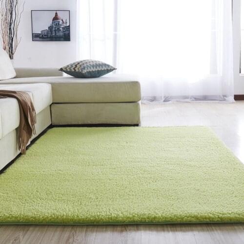 Modern Minimalist Living Room Carpet Bedroom Decorative Coffee Table Sofa Wall-to-Wall Room Windows and Entrance Tatami Carpet