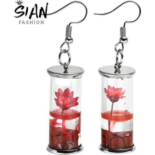 SIAN Real Plant Dry Flower Earrings Flower Dangle Glass Bottle Drop Earrings Pink Purple Blue Orange Red Flower Womens Earrings