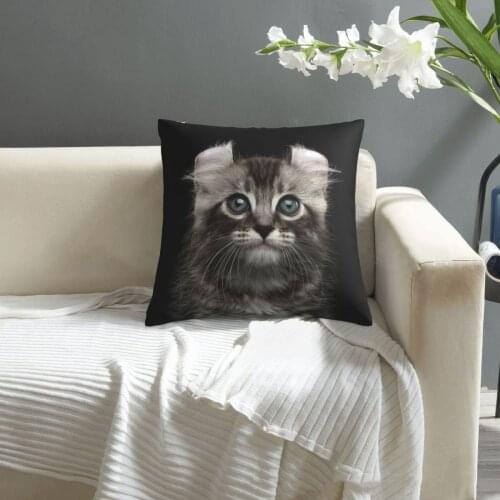 Cat,Cute American Curl Kitten pillowcase printed cushion cover sofa waist pillow pillow cover