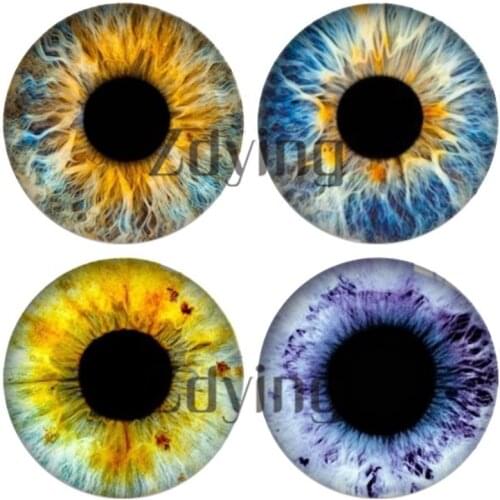 Zdying 10pcs/lot Round Glass Cabochon Animal Dragon Eyes Photo Dome Beads Diy Jewelry Findings For Necklace Brooch Bracelet