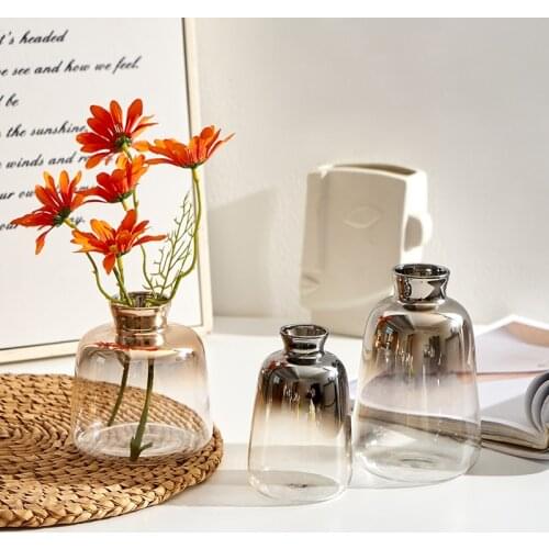 Modern Decorative Vase Glass Tabletop Vase Nordic Decoration Home Hydroponic Transparent Flowers Vases Living Room Decoration