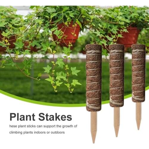 2pack Vines Office Frame Climbing Monstera Trellis Moss Rod Coconut Fiber Totem Home Gardening Creeper Pole Plant Stake Support