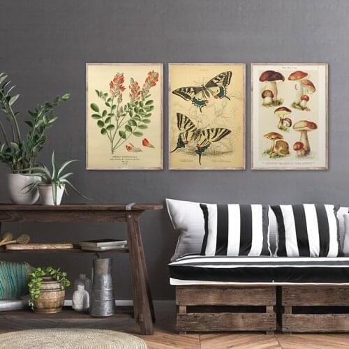 Paleobios Plant Retro Poster Flower Insect Butterfly Mushrooms Canvas Painting Wall Art Pictures Oil Painting Home Decoration