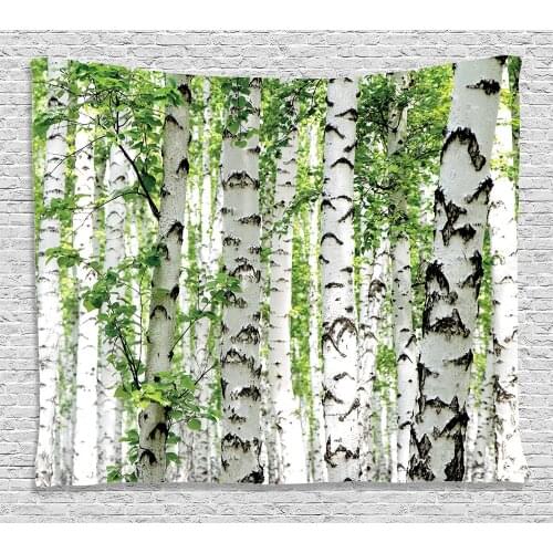 Forest Tapestry Wall Hanging Birch Trees in the Forest Summertime Wildlife Nature Themed Decorating Picture Dorm Decor