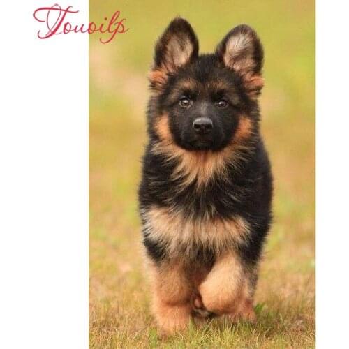 100% Full 5D Diy Daimond Painting "German Shepherd" 3D Diamond Painting Round/Square Rhinestones Diamant Painting Embroidery