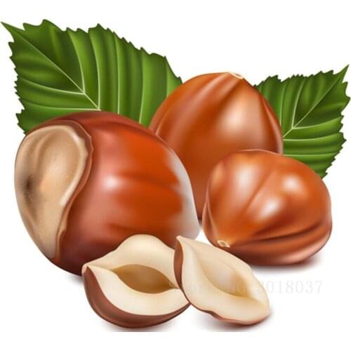 Diamond Mosaic Diy 5D Diamond Embroidery Fruit Of Maturity Diamond Painting Cross Stitch Floral Rhinestone Decoration Needlework