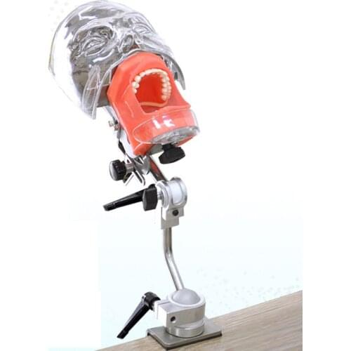 Head Model Dental simulator Nissin manikin phantom head model with new style bench mount for dentist teaching