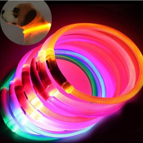 Dog Collar Led Usb Charging Night Safety Flashing Glow Anti-Lost/Car For Puppies Dog Collars Rechargeable Leads LED Supplies
