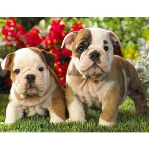 Drill Square&Round Creative Diamond Embroidery Animal Puppy 5D Diy Diamond Painting Cross Stitch Diamond Mosaic Needlework Decor