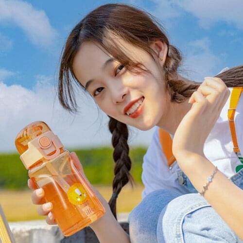 400ml/550ml Water Bottle Cup Animal Print Multi-purpose with Strap Transparent Cartoon Print Water Bottle with Straw for Student