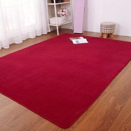 New Arrival Fluffy Rugs Anti-Skid Shaggy Area Multi-size Living room Home Bedroom Carpet Thick coral Short velvet Floor Mat
