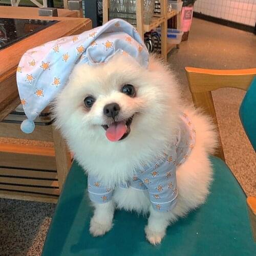 Ins hot Korea Cute Dog Clothes for Small Dogs Pajamas Night Cap Set Blue Puppy Clothes Dog Hat Chihuahua Accesorios Pets Clothes