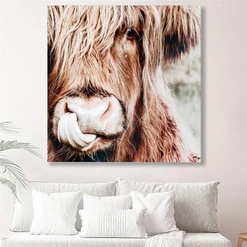 Wild Animal Highland Cow Canvas Painting Poster Prints Wall Art Pictures Cuadros for Living Room Posters and Prints Home Decor