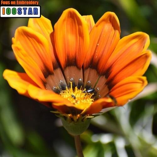 5D DIY Diamond Painting Cross-stitch Flowers Crystal Needlework Full Square Diamond Embroidery Paintings Mosaic Stone Decoration