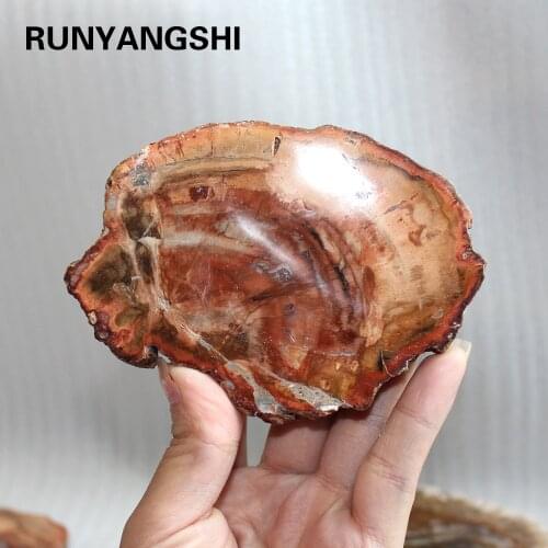 Natural stones and minerals crystal woodstone fossil tree for coaster home decoration wooden tree fossil madagascar cup cushion