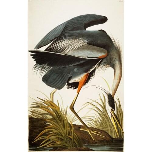 Canvas art birds oil paintings Great Blue Heron by John James Audubon painting hand painted animal artwork for wall decor Large