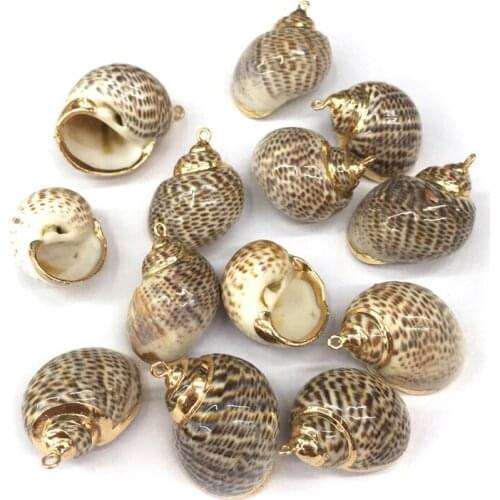 Natural shell Conch shape Pendants Exquisite charms for Jewelry Making DIY Bracelet earring Necklaces Accessories 20x28-30x38mm