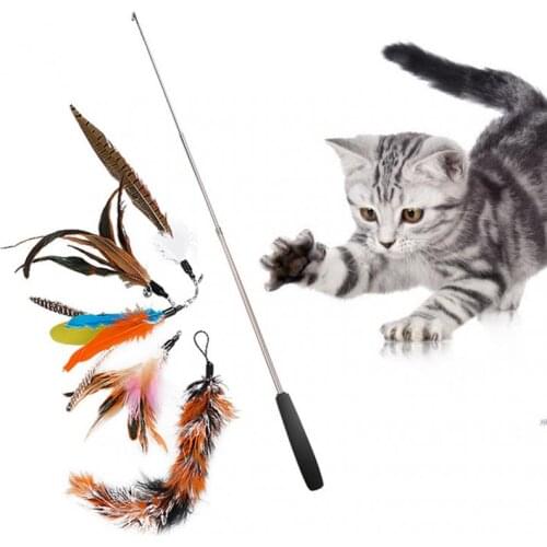 Interactive Cat Feather Toy Feather Teaser Stick Wand Retractable Rod Bell Refill Replacement Head Catcher Product For Kitten