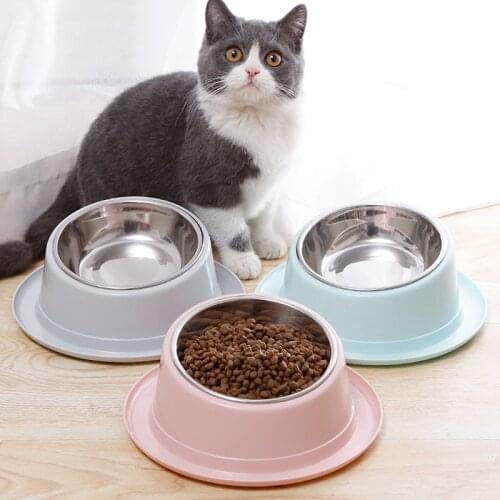 PP Stainless Cat Bowls Pet Steel Bowl Set Food Water Bowl for Dogs and Cats Anti-skid Cats Supplies small pets feeding tool