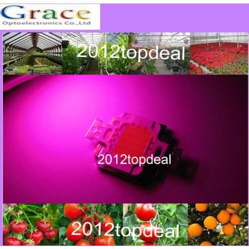 10w cob grow led chip , full spectrum 380nm~840nm full spectrum led grow light for plant grow fast and better