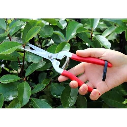 Stainless Steel Tree Pruning Garden Shears Grass Fruit Cutter Gardening Scissors Branch Pruners CLH@8