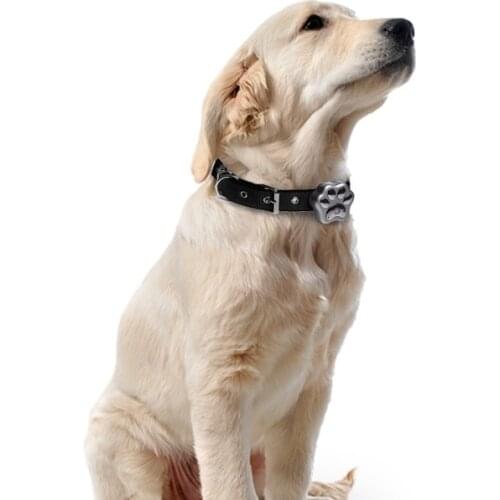 3G GPS Locator V40 Animal Cat Collar Cheap Personal GPS WIFI V40 Alarm Mini Dog Collar 3G Smart Pet GPS Tracker RYDV40