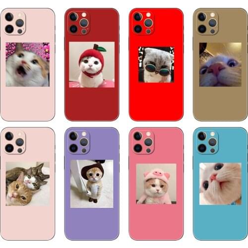 Black tpu case for iphone 5 5s se 2020 6 6s 7 8 plus x 10 XR XS 11 12 mini pro MAX back cover Cute cat funy